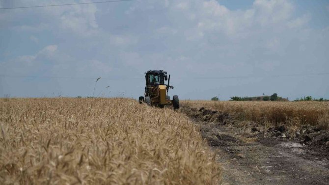 Baün’de 203 Ton Arpa Hasadı Yapıldı