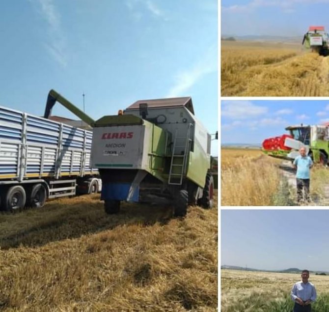 Baün’de 203 Ton Arpa Hasadı Yapıldı