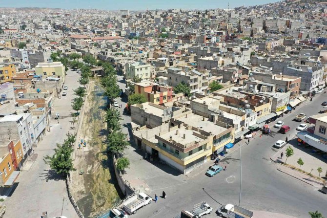 Beyazgül Şehrin Yarasına Merhem Oluyor