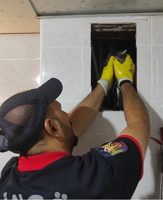 Bingöl’de Havalandırma Boşluğunda Mahsur Kalan Kargalar Kurtarıldı