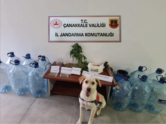 Çanakkale’de Uyuşturucuya Karşı 2 Ayda 24 Operasyon