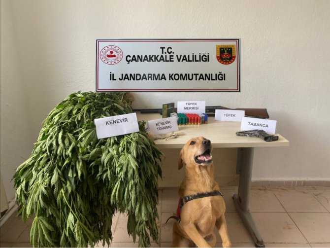 Çanakkale’de Uyuşturucuya Karşı 2 Ayda 24 Operasyon