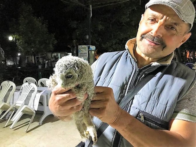 Tarlasında Bulduğu Yaralı Baykuşa Evladı Gibi Bakıyor