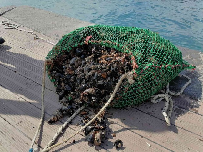 Sarıyer’de Amatör Olta Balıkçıları Ve Denizde Kaçak Midye Avcılığı Denetimi