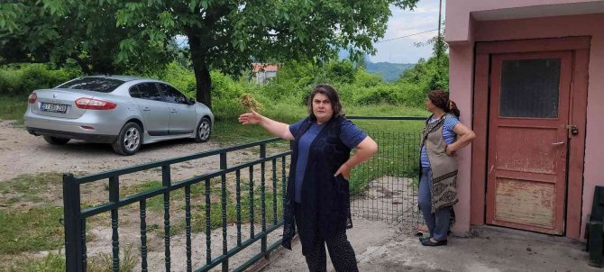 Bir Mahalleyi Ayı Korkusu Sardı: “Evlerimizden Çıkamıyoruz”