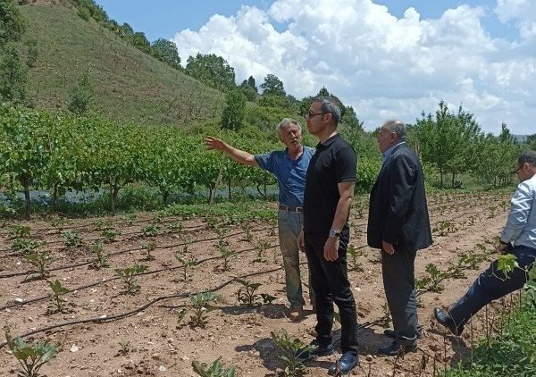 Kaymakam Çiçek, Selden Etkilenen Köyde İncelemelerde Bulundu