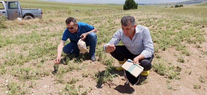 Kaymakam İ̇rdelp, Hasar Tespit Çalışmalarına Katıldı