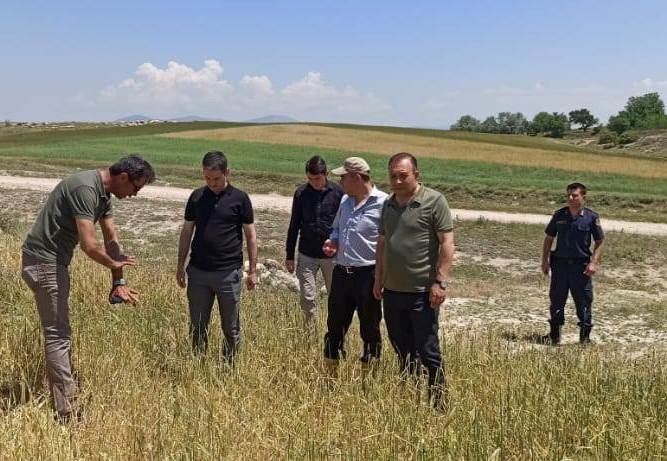 Kaymakam İ̇rdelp, Hasar Tespit Çalışmalarına Katıldı