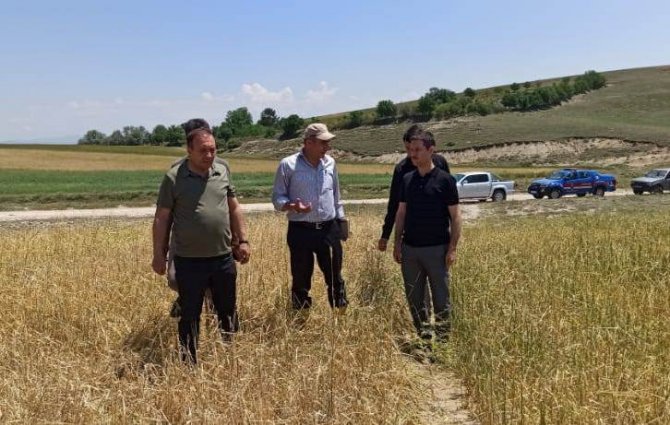 Kaymakam İ̇rdelp, Hasar Tespit Çalışmalarına Katıldı