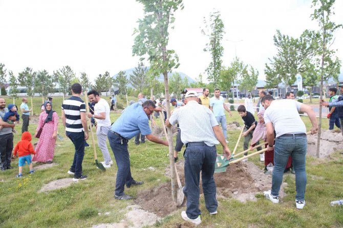 Engelsiz Yaşam Merkezi’nde 200 Fidan Toprakla Buluşturuldu