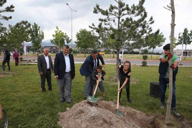 Engelsiz Yaşam Merkezi’nde 200 Fidan Toprakla Buluşturuldu