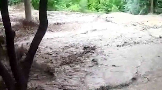 Sağanak Sele Döndü, Tarım Arazileri Zarar Gördü