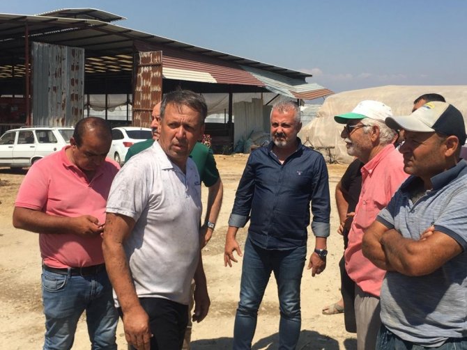Manavgat’ta Besihanede 3 Bin Ot Balyası Yandı