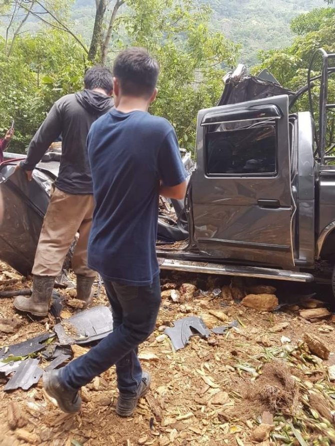 Meksika’da 25 Metrelik Ağaç Devrildi: 3 Ölü, 1 Yaralı