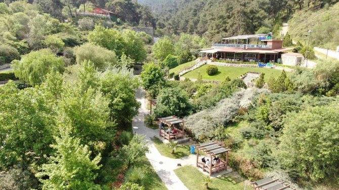 Mesir Tabiat Parkına Yoğun İlgi