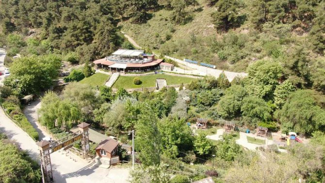 Mesir Tabiat Parkına Yoğun İlgi