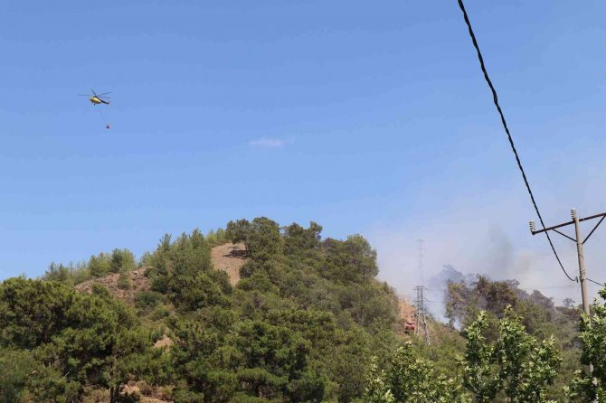 Dalaman’daki Orman Yangını Kontrol Altına Alındı