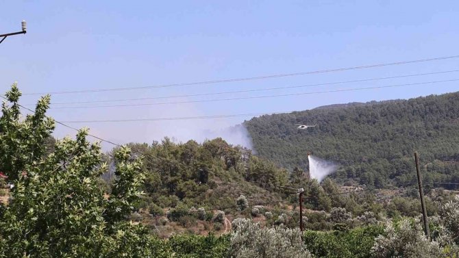Dalaman’daki Orman Yangını Kontrol Altına Alındı