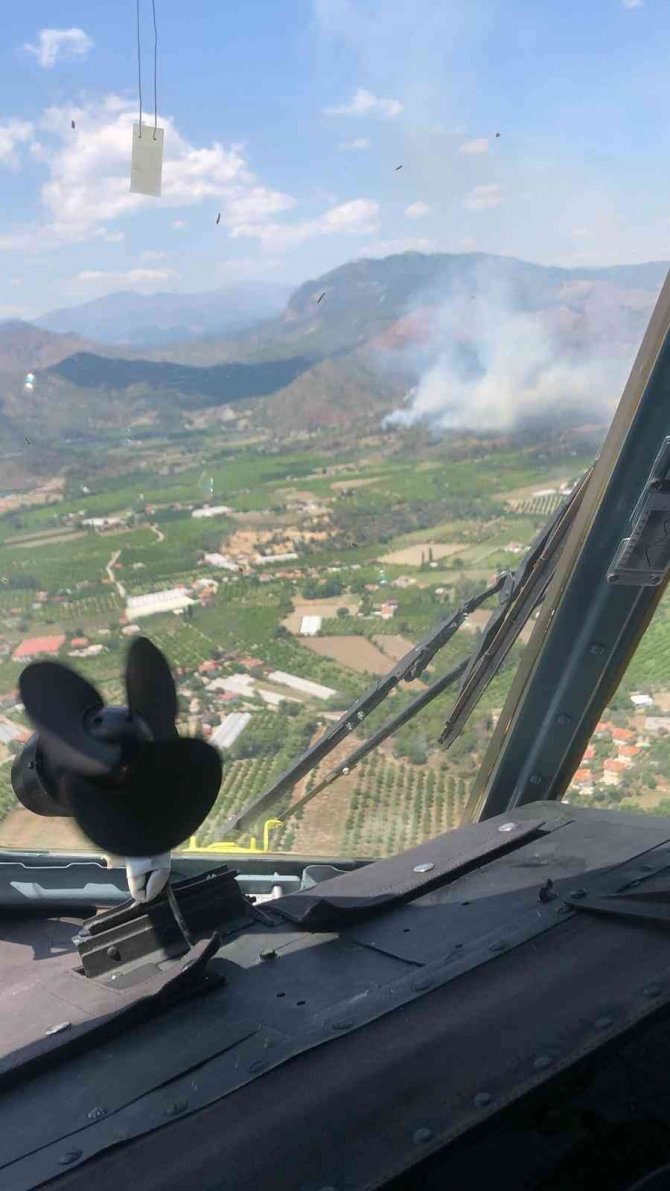 Dalaman’da Orman Yangını