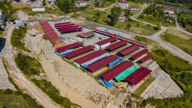 Ünye’de Modern Hayvan Pazarı Hizmete Açıldı