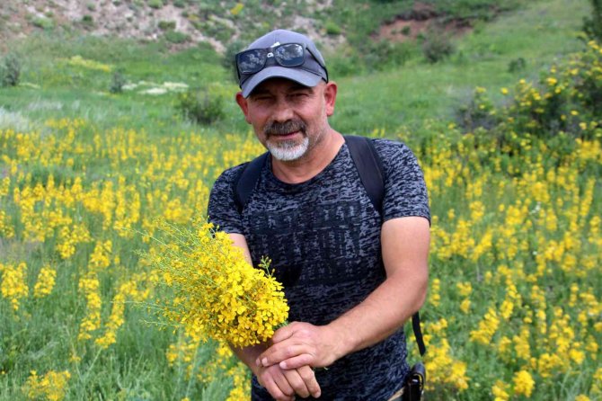 Asırlar Önce Askerlerin Yarasını Sarıyordu, Günümüzde De Önemini Koruyor