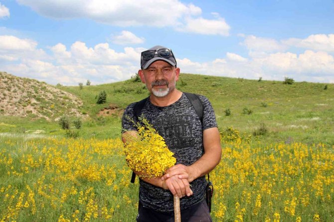 Asırlar Önce Askerlerin Yarasını Sarıyordu, Günümüzde De Önemini Koruyor