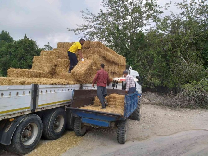 Tarsus’ta Üreticilere Ücretsiz Saman Dağıtıldı
