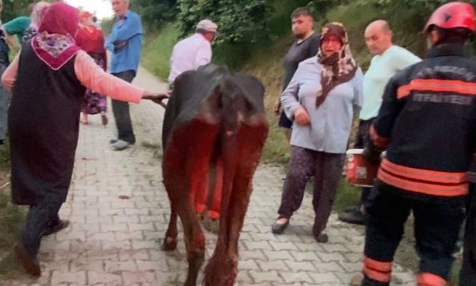İ̇tfaiyeden İnek Kurtarma Operasyonu