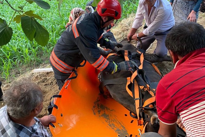 İ̇tfaiyeden İnek Kurtarma Operasyonu