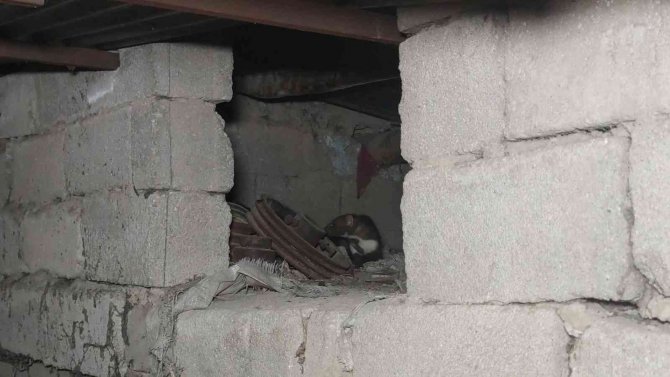 Sansarlar, Akyüz Ailesini Tedirgin Ediyor