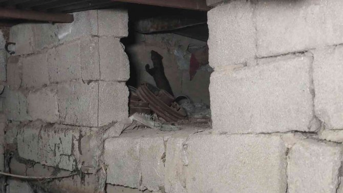 Sansarlar, Akyüz Ailesini Tedirgin Ediyor