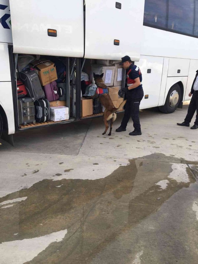 Jandarmanın Uyuşturucu Köpeği "Valör" Buldu, Yolcu Otobüsündeki Valizden 2 Kilogram Metamfetamin Çıktı