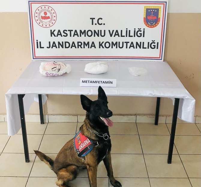 Jandarmanın Uyuşturucu Köpeği "Valör" Buldu, Yolcu Otobüsündeki Valizden 2 Kilogram Metamfetamin Çıktı