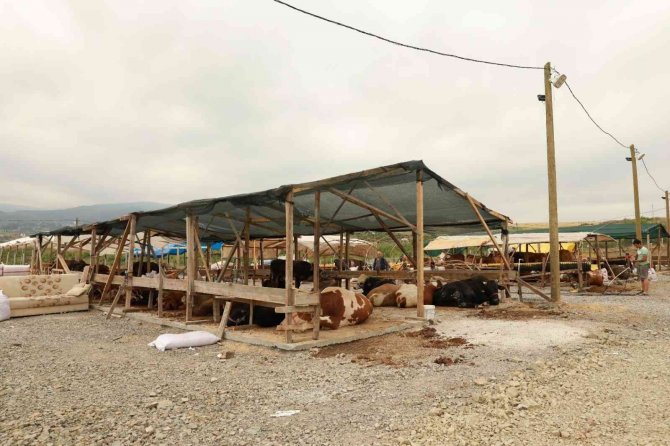 Yalova Kurban Pazarı Artık Kazımiye Köyünde