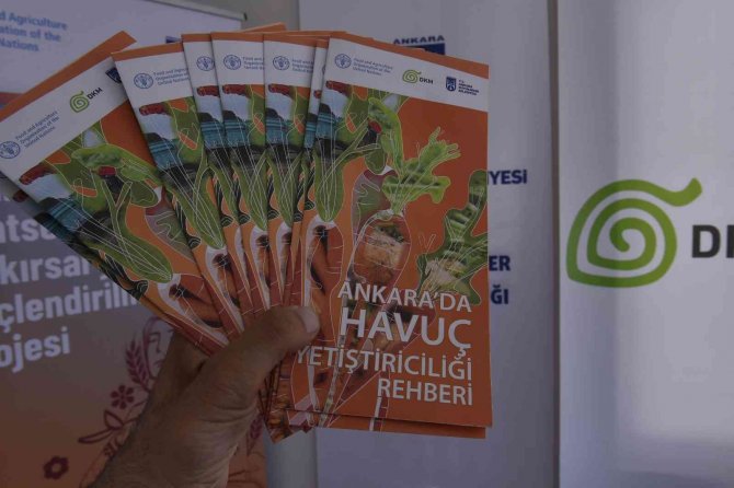 Beypazarlı Üreticilere Havuç Üretim Teknikleri Eğitimi Verildi