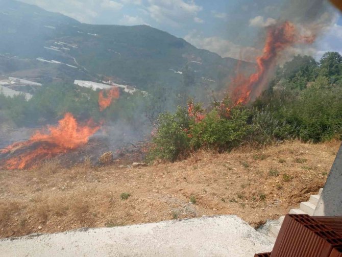 Alanya’da Tarım Arazisinde Başlayan Yangında 10 Dönüm Zarar Gördü