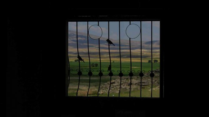 Balıkdamı Fotoğraf Tutkunlarını Hayran Bırakıyor