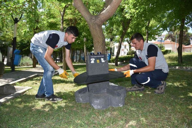 Balıkesir’in Her Yerinde ’Pati’ler Var