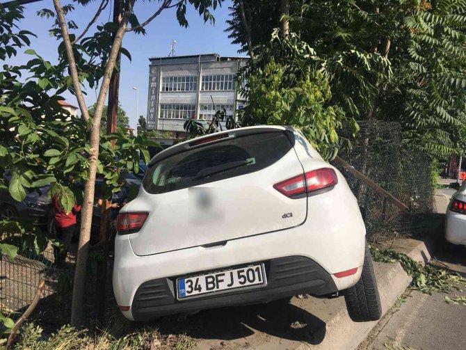Bayrampaşa’da Otomobil Refüjdeki Ağaca Çarptı