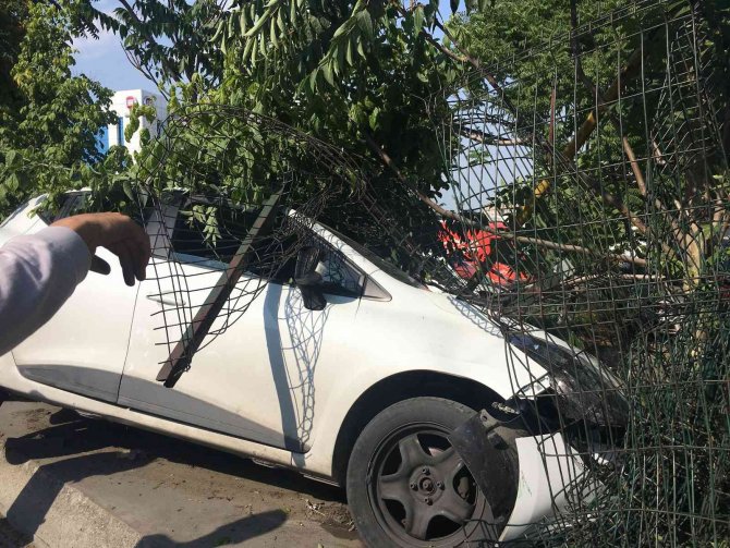 Bayrampaşa’da Otomobil Refüjdeki Ağaca Çarptı