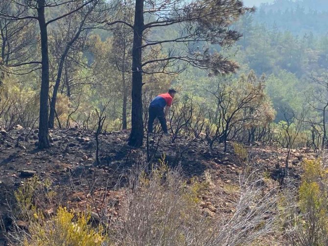 Denizli İtfaiyesi Marmaris’teki Yangın Söndürme Çalışmalarına Destek Veriyor