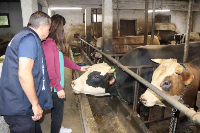 Yaklaşan Kurban Bayramı Öncesi Sıkı Denetim