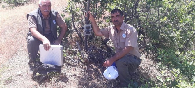 Elazığ’da Fotokapanların Bakımı Yapıldı
