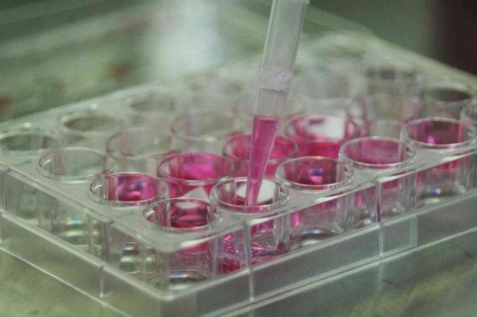 Polimer Malzeme Mühendisliğinden Mezun Olanlar İşsiz Kalmıyor