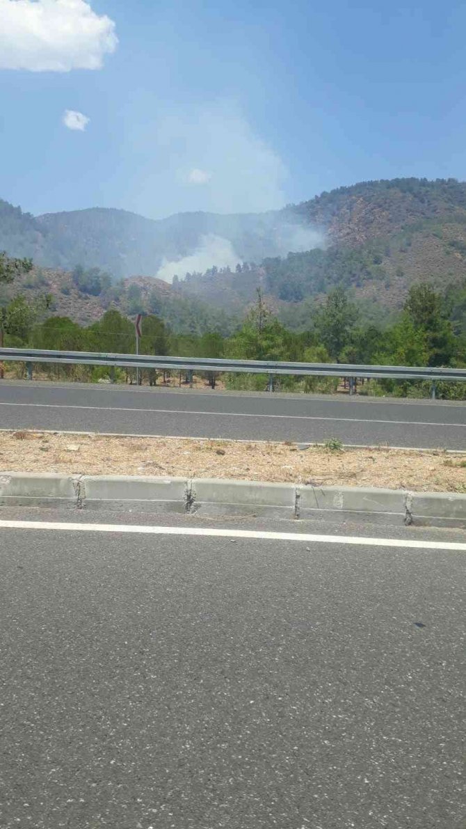Köyceğiz’de Orman Yangını