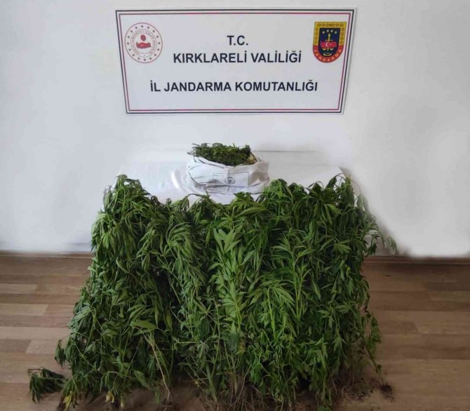 Kırklareli’de Dronla Tespit Edilen Adreslere Jandarmadan Şok Operasyon