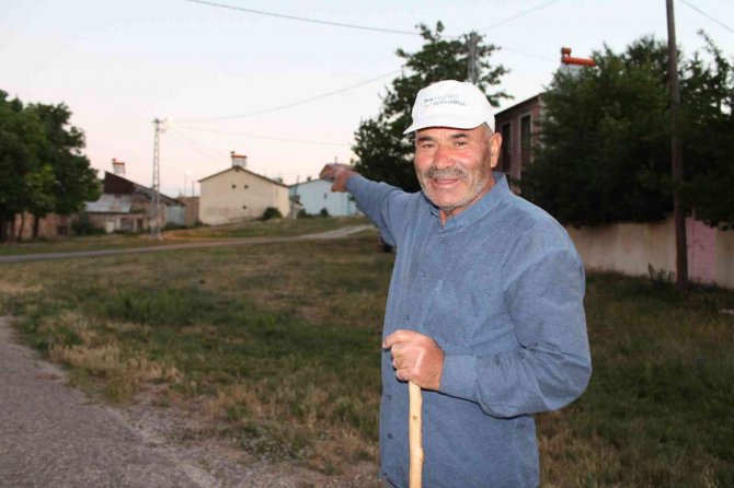 Karşısına Çıkan Ayıyı Bağırarak Korkutup Kaçırdı