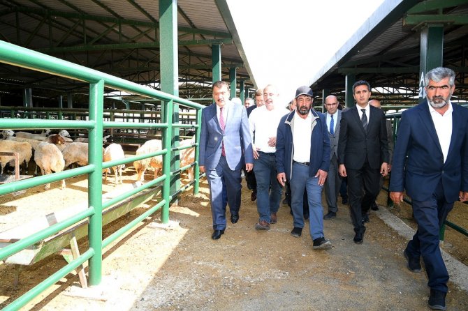 Malatya Hayvan Pazarı Yenileniyor