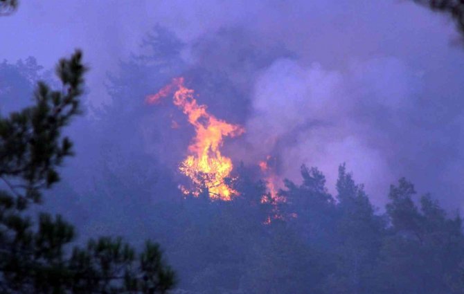 Marmaris Yangınına Başsavcılıktan Soruşturma