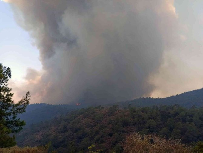 Yangın Yönünü Okluk Koyu’na Çevirdi